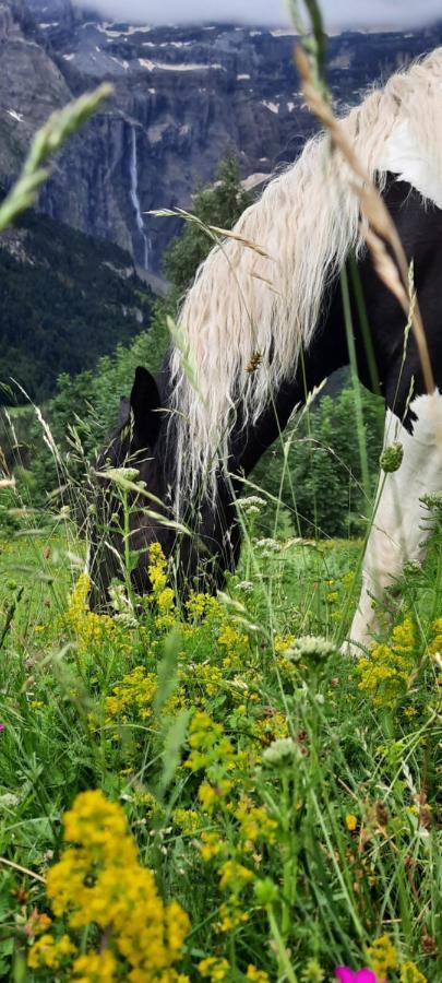 Hotel Vignemale Gavarnie Zewnętrze zdjęcie